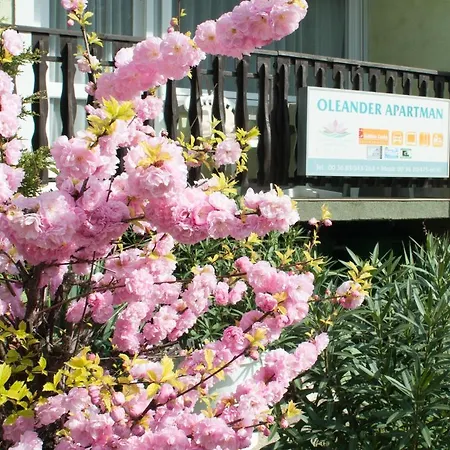 Apartmán Oleander Hévíz